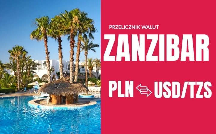 Obraz do artykułu: Przelicznik walut na Zanzibarze: Jak płacić w 2026, by nie stracić na podwójnym przewalutowaniu?