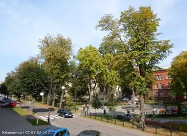 Konsultacje ws. programu Czyste Powietrze – spór o niejasną definicję kominka