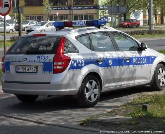 Nowy owczarek holenderski Wilkor zaczyna służbę w komendzie w Ełku