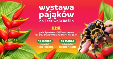 Grafika promocyjna wydarzenia Wystawa Pająków w Ełku na Festiwalu Roślin — pająki i rośliny pod jednym dachem