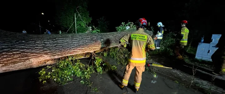 55 zgłoszeń po burzach w powiecie ełckim. Strażacy usuwali skutki nawałnicy