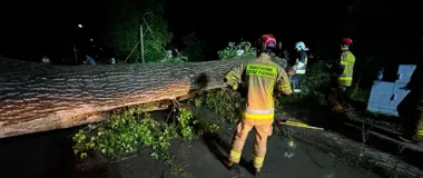 55 zgłoszeń po burzach w powiecie ełckim. Strażacy usuwali skutki nawałnicy