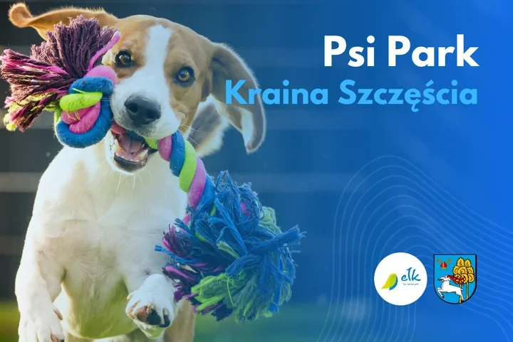 Psi Park "Kraina Szczęścia" w Ełku. Pierwszy etap rusza latem