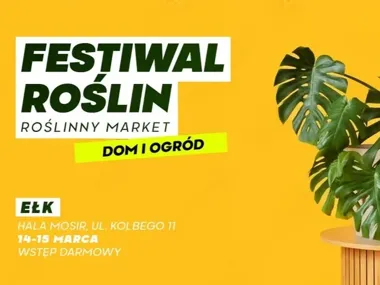 Festiwal Roślin wraca – hale przy Kolbego wypełni rzadkie i popularne okazy