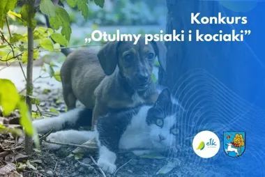 Ełckie klasy przygotują koce dla zwierząt z Sonieczkowa. Jest konkurs