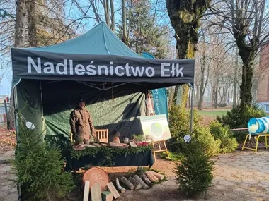 Leśne Miasteczko – rodzinne święto przyrody na Placu Jana Pawła II