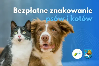 W Ełku rusza darmowe czipowanie psów i kotów. Liczba miejsc jest ograniczona