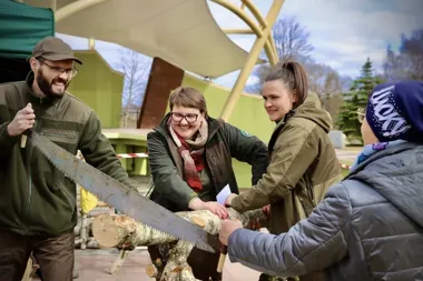 Leśne miasteczko na placu Jana Pawła II przyciągnęło ciekawych lasu