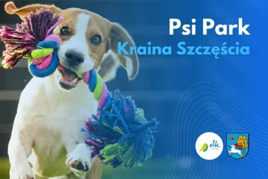 Psi Park "Kraina Szczęścia" w Ełku. Pierwszy etap rusza latem
