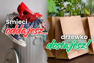 W Ełku śmieci znów zamienią się w 500 sadzonek drzew