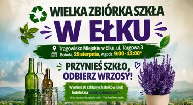 W Ełku szkło zamienią na wrzosy. Jedna osoba odbierze do czterech roślin